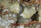 Gemmy, Yellow-Green Adamite Crystals - Durango, Mexico #65321-3